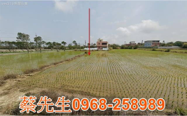 桃園觀音拍賣農舍-14