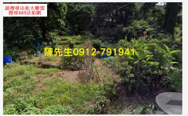 新北淡水農地-6