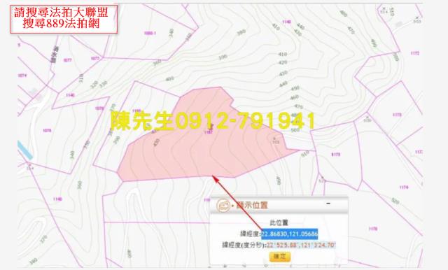 台東延平法拍山坡地-11