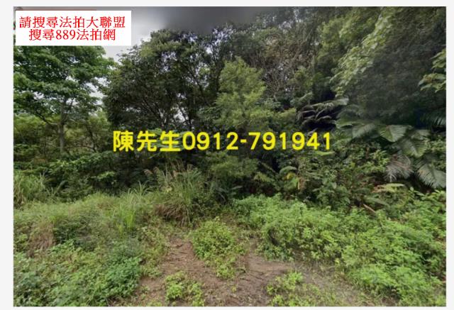 台東延平法拍山坡地-0