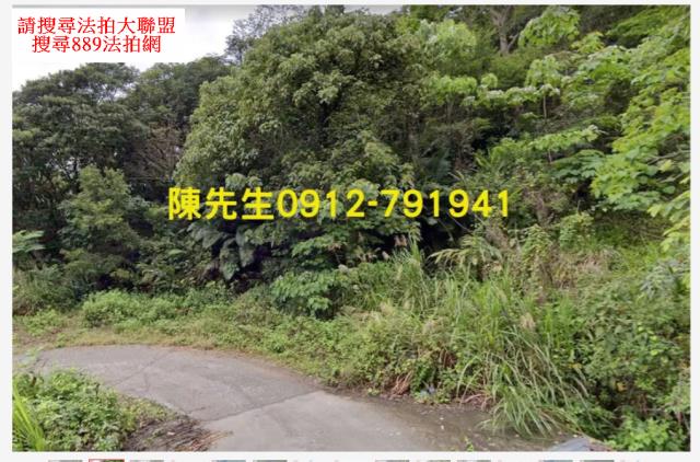 台東延平法拍山坡地-1