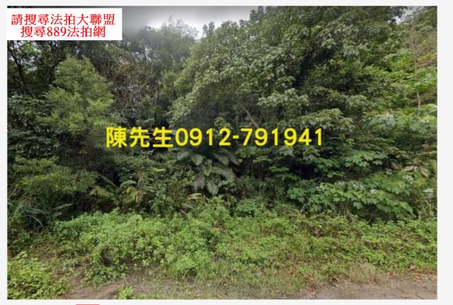 台東延平法拍山坡地-2