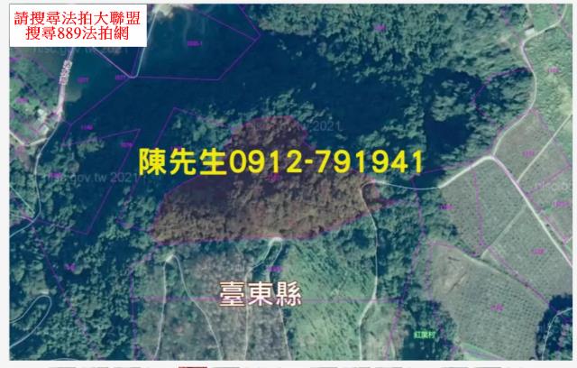 台東延平法拍山坡地-4