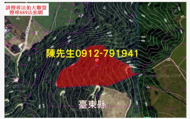台東延平法拍山坡地-5