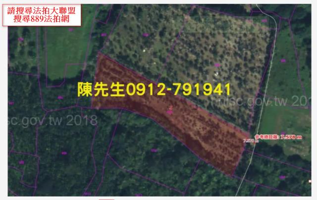 花蓮壽豐農地法拍-12