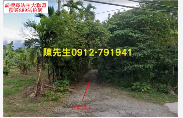 花蓮壽豐農地法拍-2