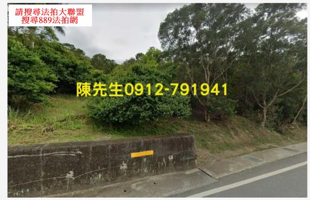 花蓮富里山坡地拍賣-9