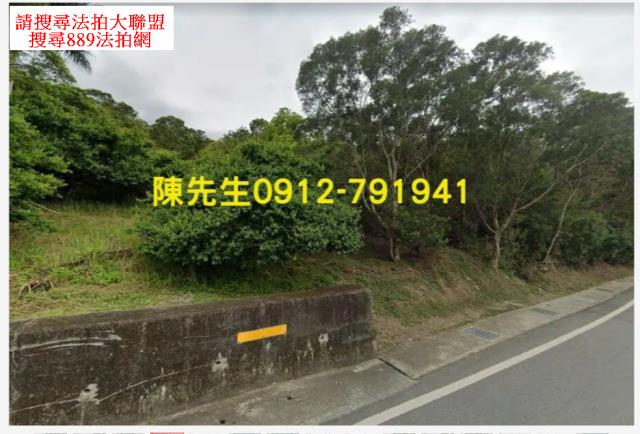 花蓮富里山坡地拍賣-11