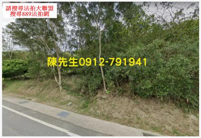 花蓮富里山坡地拍賣-2