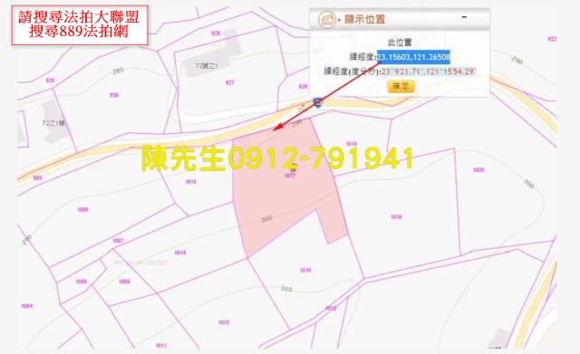 花蓮富里山坡地拍賣-4