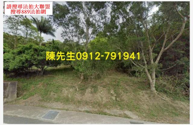 花蓮富里山坡地拍賣-8