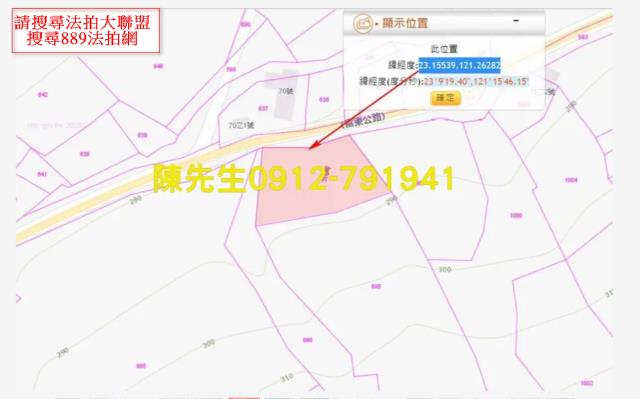 富里法拍山坡地-10