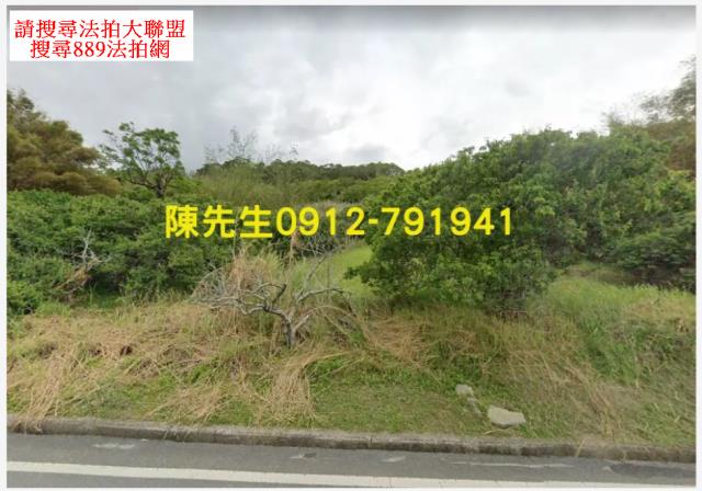 富里法拍山坡地-0