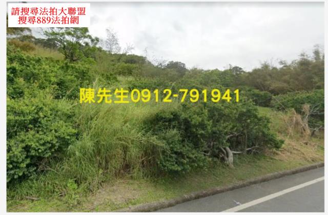 富里法拍山坡地-2