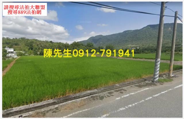 富里法拍農地-9