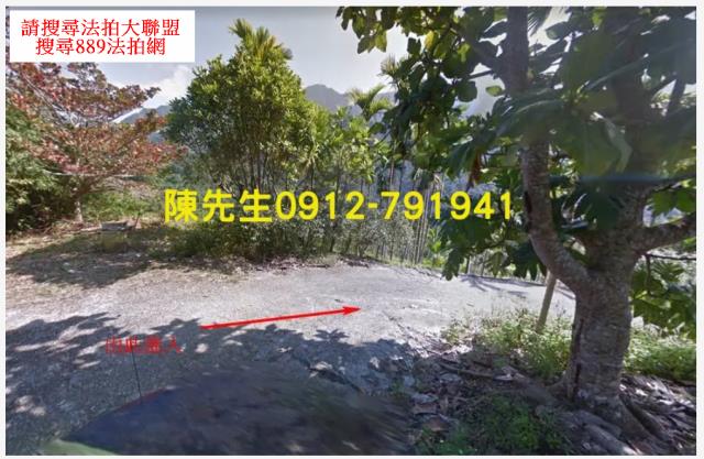 玉里農地法拍-9