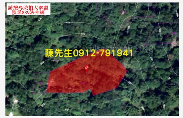 玉里農地法拍-12