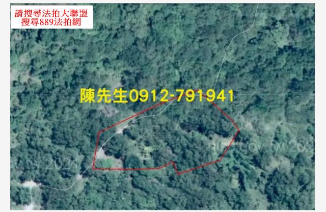 玉里農地法拍-13