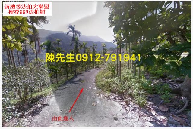 玉里農地法拍-0