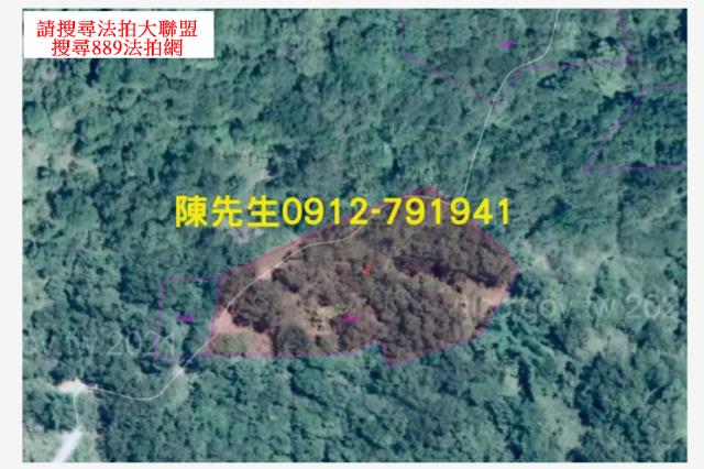 玉里農地法拍-3