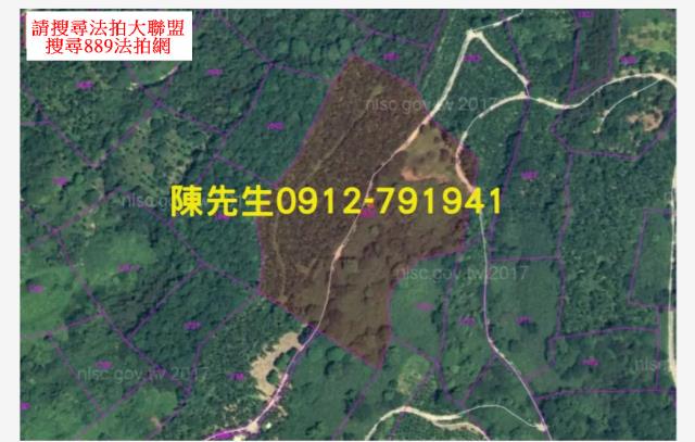 花蓮萬榮法拍農地-3