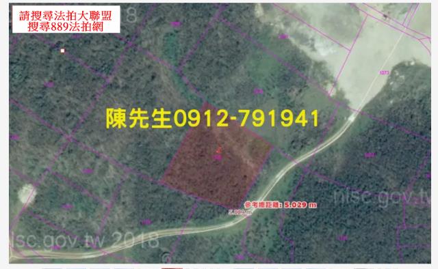 湖西法拍農地-5