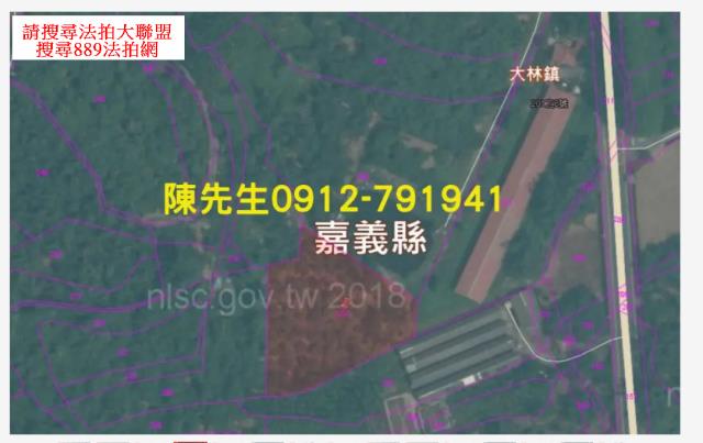 嘉義法拍農地-11