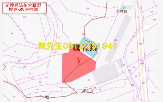 嘉義法拍農地-4