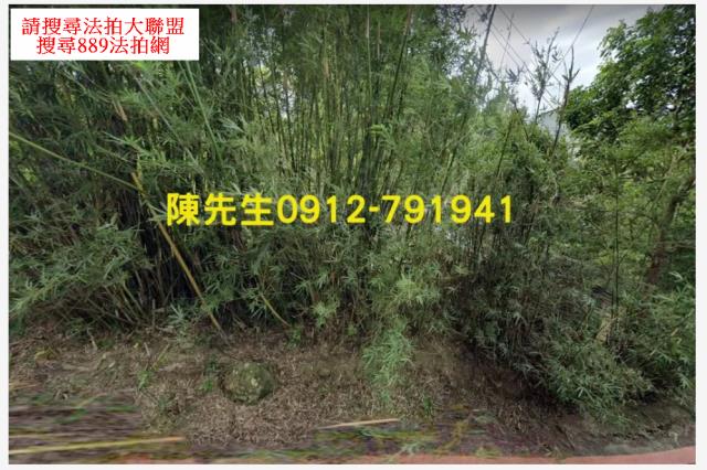 新竹橫山拍賣建地-12