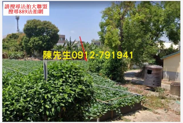 嘉義鹿草法拍建地-8