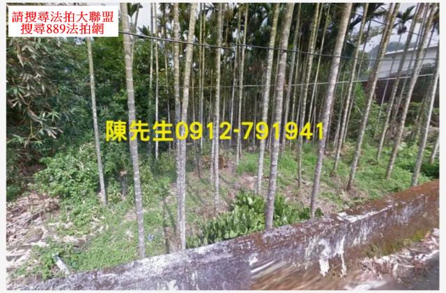 南投鹿谷法拍農地-9