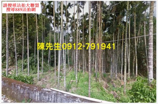 南投鹿谷法拍農地-1