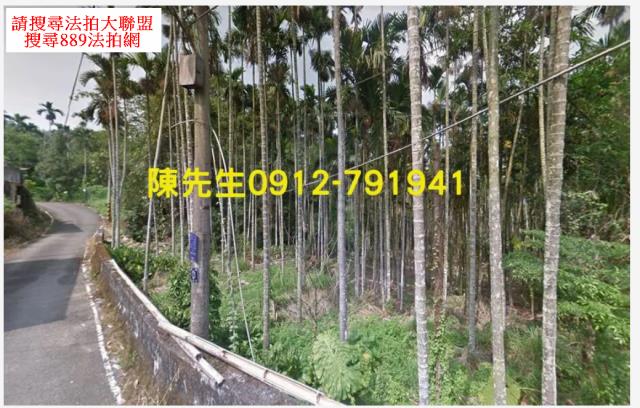 南投鹿谷法拍農地-2