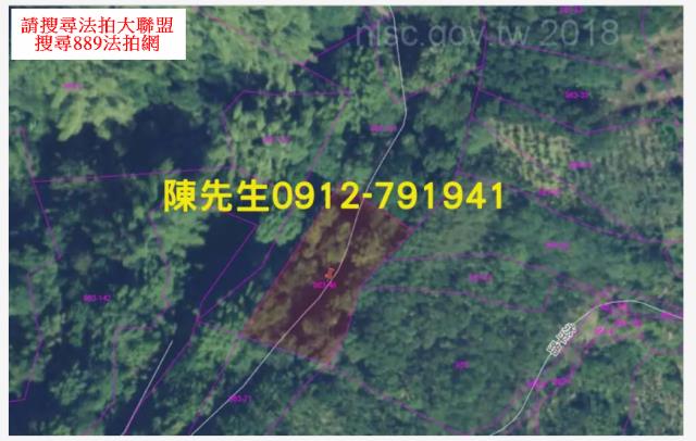 南投中寮農地法拍-12