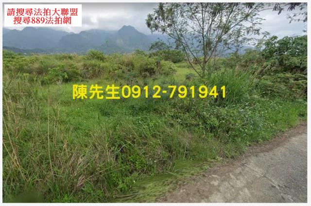 長濱法拍農地-9