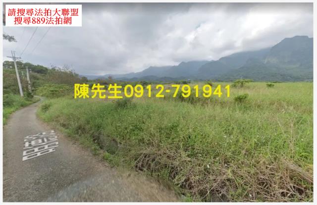 長濱法拍農地-10