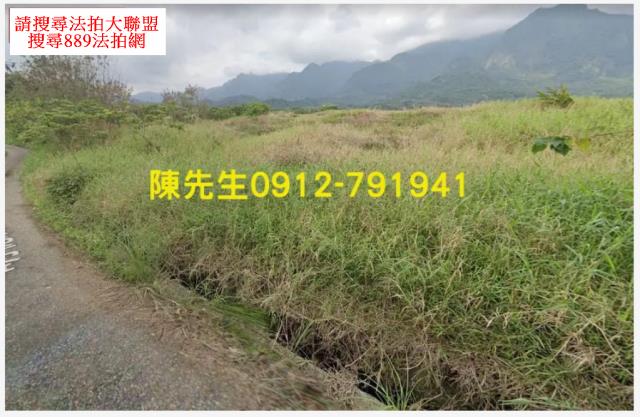 長濱法拍農地-11