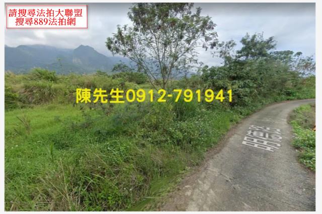 長濱法拍農地-3