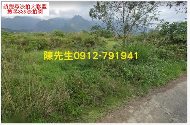 長濱法拍農地-9
