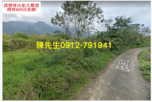 長濱法拍農地-10
