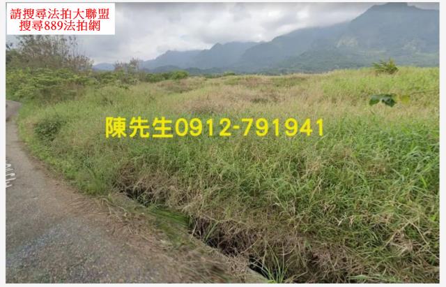長濱法拍農地-12
