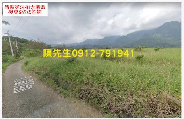 長濱法拍農地-2