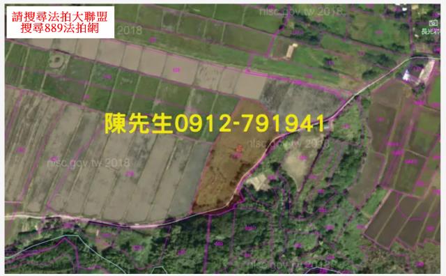 長濱法拍農地-6