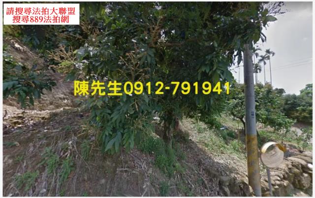 台中太平法拍林地-12