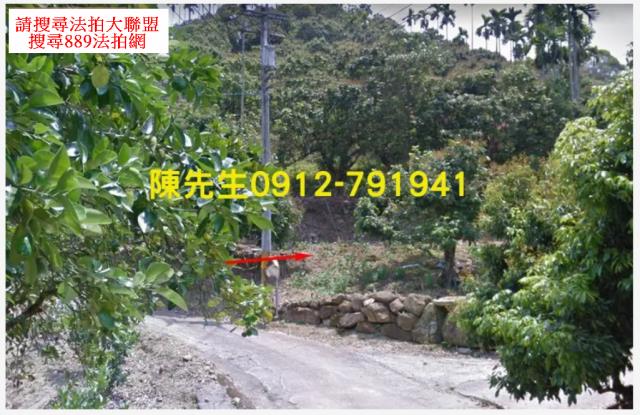 台中太平法拍林地-0
