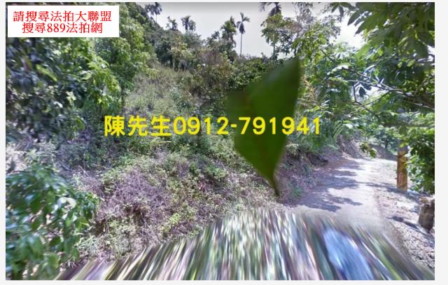 台中太平法拍林地-5