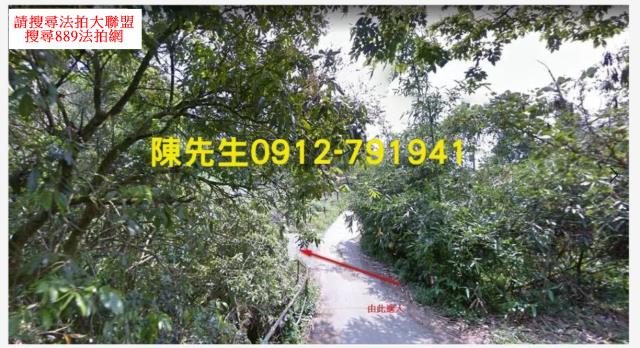 東勢山坡地法拍-10