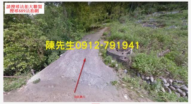 東勢山坡地法拍-7