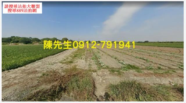 元長法拍農地-8