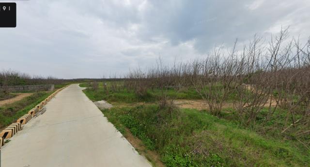 澎湖西嶼法拍農地-2